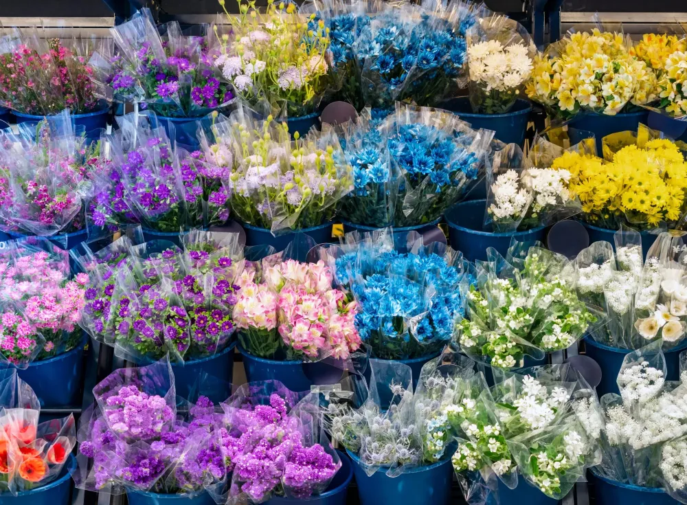 Fleurs