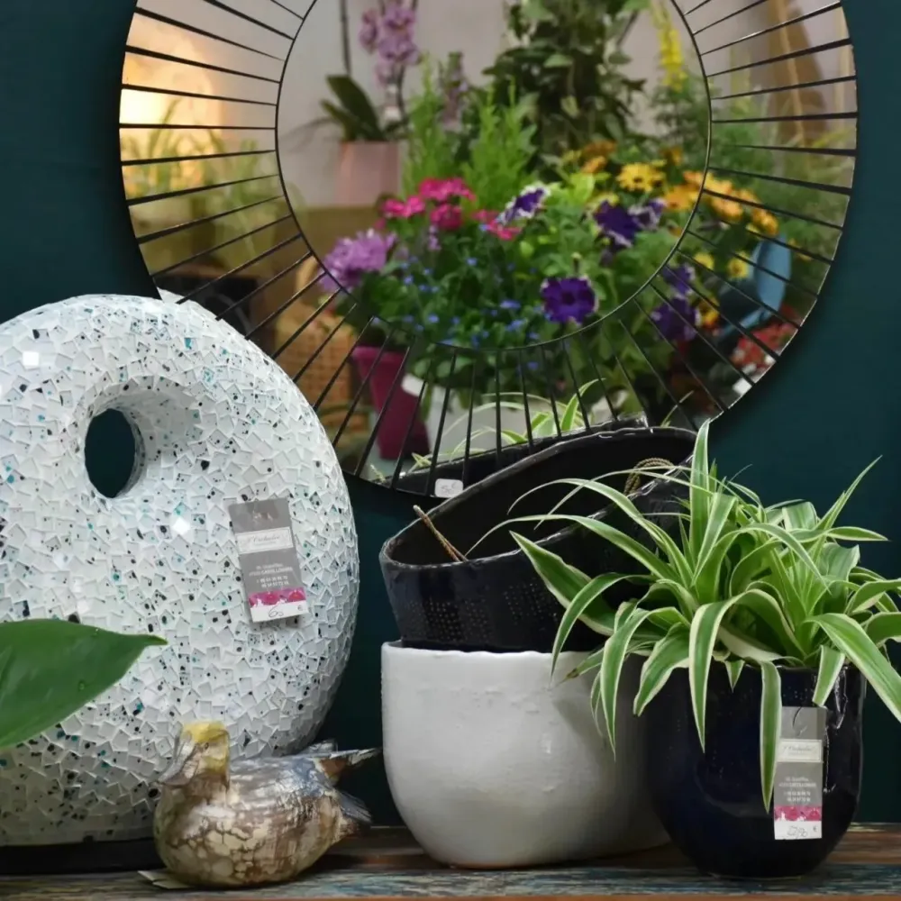 Décoration (6)